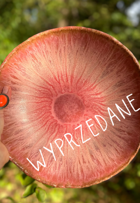 duża misa czerwona otchłań
